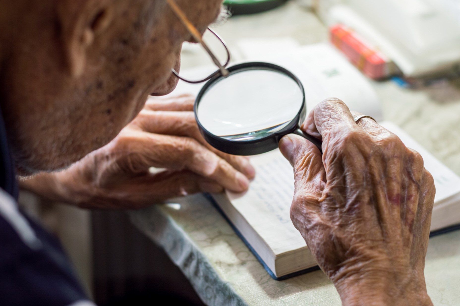 A person looking at a book, Macular Degeneration Explained: Symptoms, Types, and Risk Factors